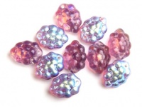 Weintrauben Amethyst AB 10Stück Weintrauben Amethyst AB 10Stück